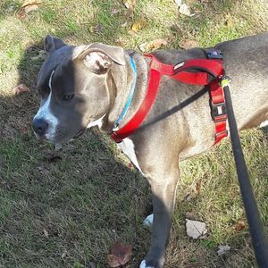 Meet your Posher, Derrick